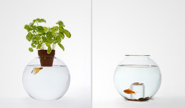bể cá cảnh 22 be ca canh 22 Bạn thích nuôi cá? Bài viết này dành cho bạn!