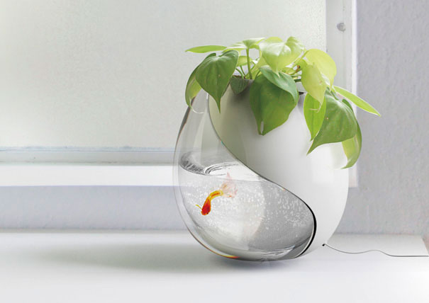 bể cá cảnh 3 be ca canh 3 Bạn thích nuôi cá? Bài viết này dành cho bạn!