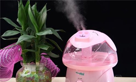 7 meo cuc ki huu hieu de giam nhiet cho ngoi nha ngay nong 2 jpg1 Bật mí 7 mẹo cực kì hữu hiệu để giảm nhiệt cho ngôi nhà ngày nóng