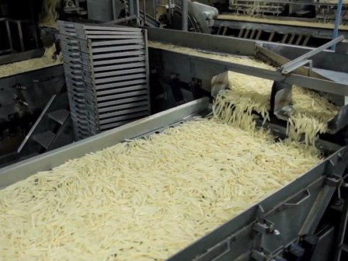 Khám phá quy trình sản xuất khoai tây chiên McDonalds 13 1367045115 500x0 Khám phá quy trình sản xuất khoai tây chiên McDonalds